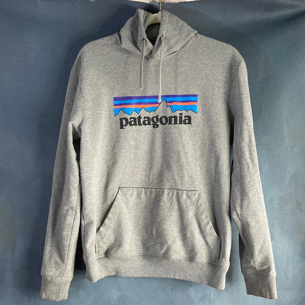 Patagonia hoodie
